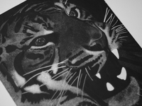 Tiger Scratchboard