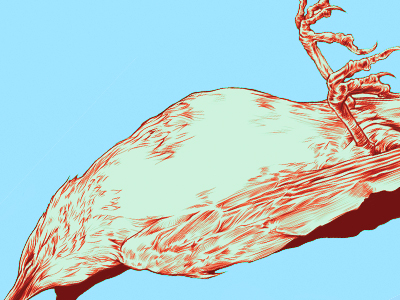 Pwetty_berd_d_