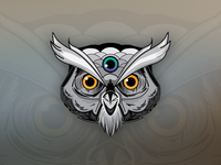 Owl_teaser