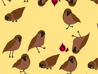 Sparrows