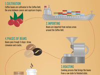 Coffee_infographic2_teaser