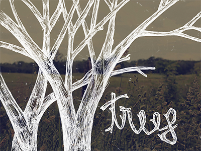 Trees_sketch_dribbble