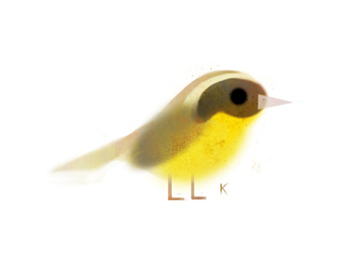 Common_yellowthroat_bird_v00_kp