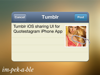 Tumblr iOS Sharing UI