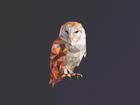 Poly Owl Logo