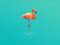 Flamingo_teaser