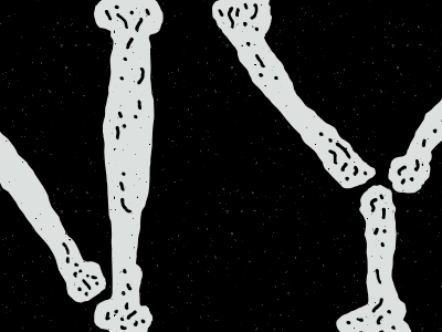 Nys_bones