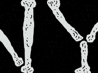 Nys_bones_teaser