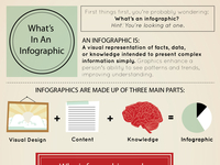 Bixa Meta Infographic