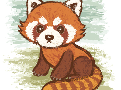 小熊猫图片 red panda高清图片