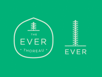 Ever_teaser