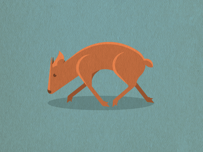 Duiker