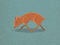 Duiker_teaser