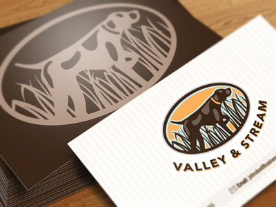 Valleystreamdribbble