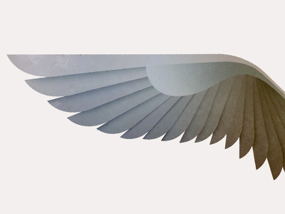 Gull