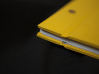 Portfolio_1_teaser