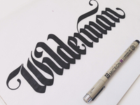 Wilderman-round3-dribbble_teaser