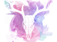 Watercolour Skull Study