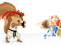 Squirrel Vs
