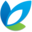 Evoluted New Media