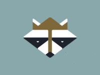 Raccoon