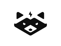 Raccoon
