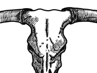 Bull skull