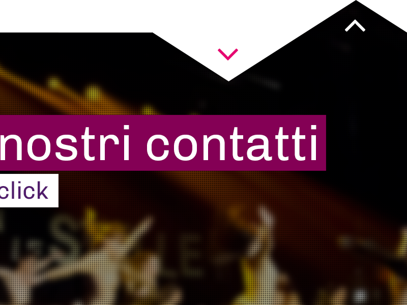 Dcls-website-2
