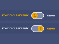 Ui_teaser