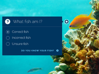 Fishquiz_teaser