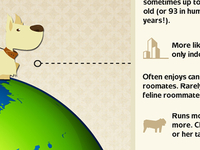 Small Dog Infographic Callout
