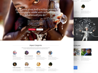 Google Impact Challenge