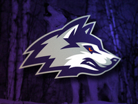 Huskies_teaser