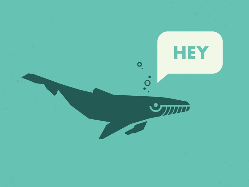 Hey_whale_hey