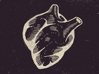 Follow Your Heart