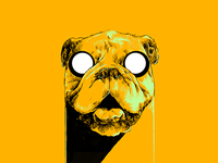 Dribbble 081