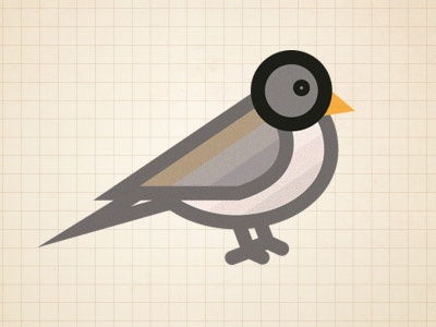 Darkeyedjunco