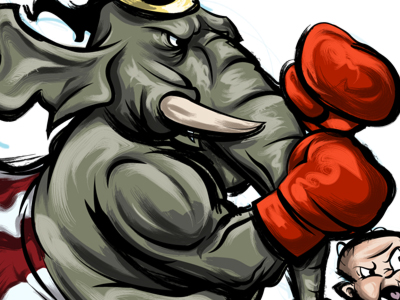 elephant boxing