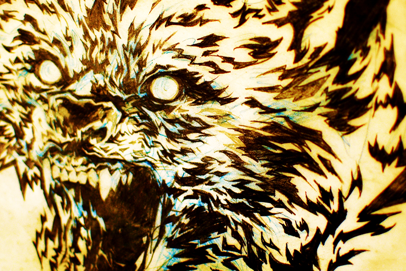 Here-come-the-wolves-detail-01