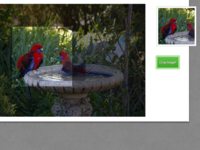 Image-avatar-cropping_2x_teaser