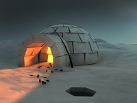 Cozy Igloo