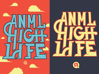 Anmlife Progress