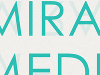 Miracle of Meditation E-Book Cover Type Treatment