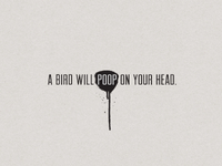 Bird Poop