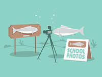 Schoolphotod_teaser