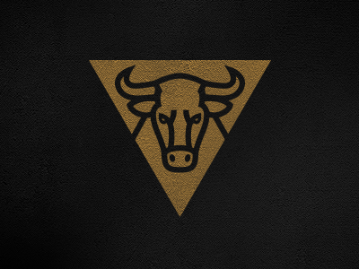 Tp_bullz_sm