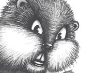 Gopher Sketch