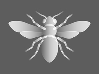 Bee_sketch_02_teaser