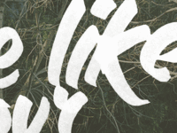 Snippet