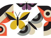 Butterflies